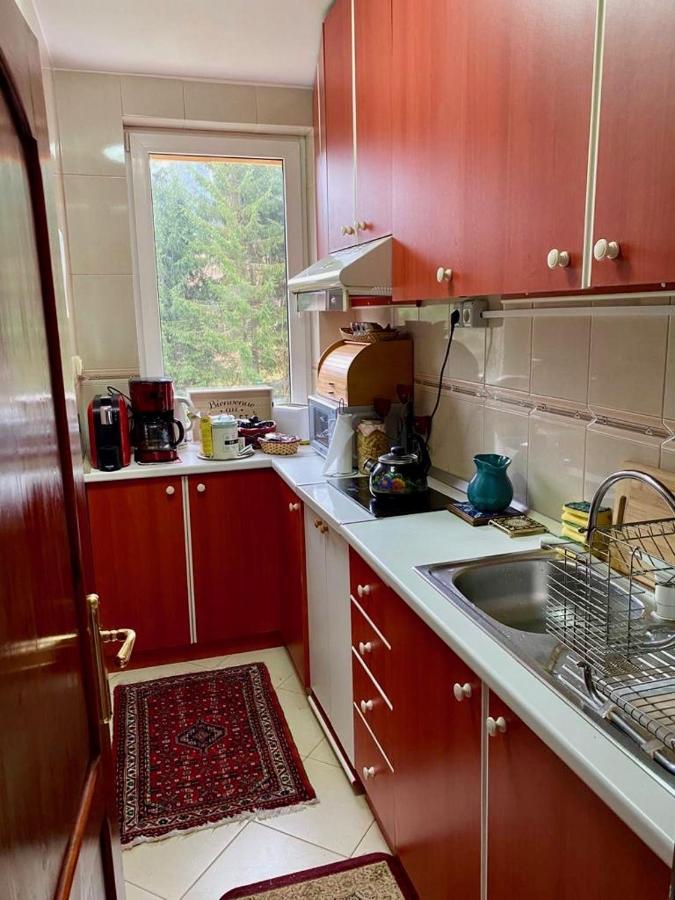 Apartament Durau Buitenkant foto